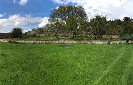 garden with orchard